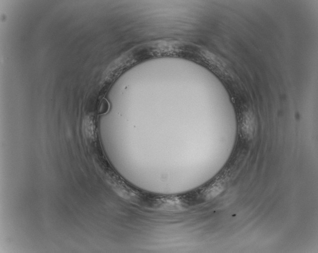 X0000073720715200608241232