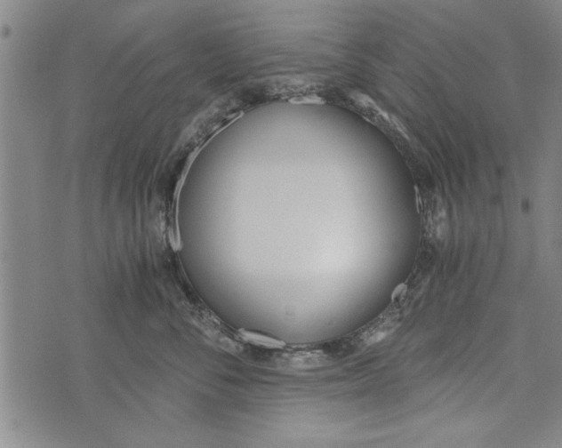 X0000073720716200608241232