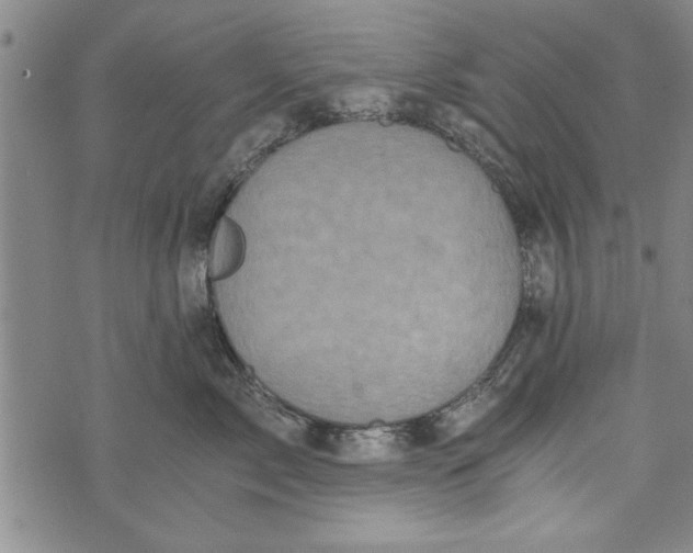 X0000073720717200608241232