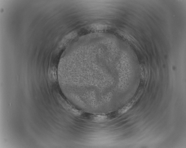 X0000073720718200608241232