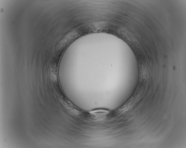 X0000073720719200608241232