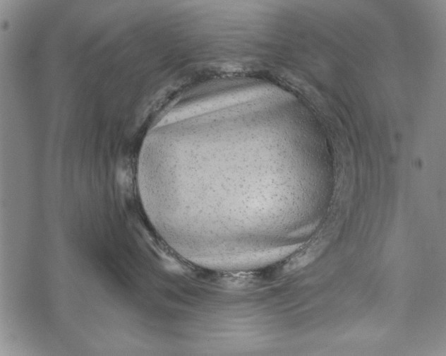 X0000073720720200608241232