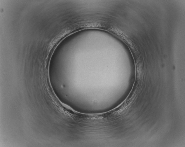 X0000073720721200608241231