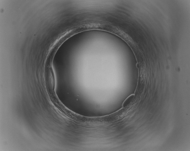 X0000073720722200608241231