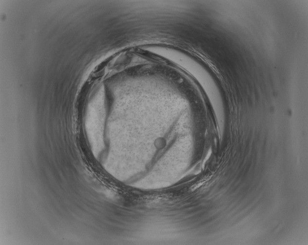 X0000073720724200608241231