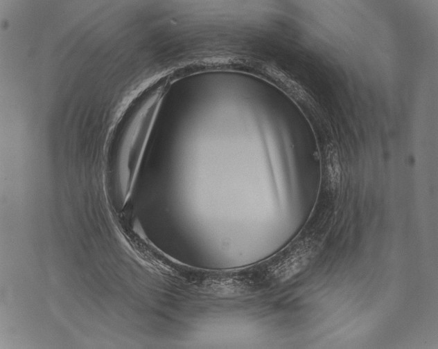 X0000073720728200608241231