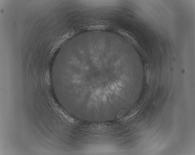 X0000073720729200608241231