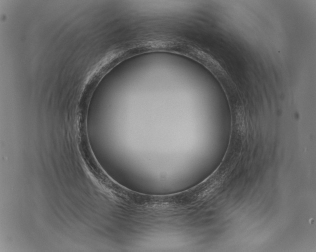 X0000073720730200608241231