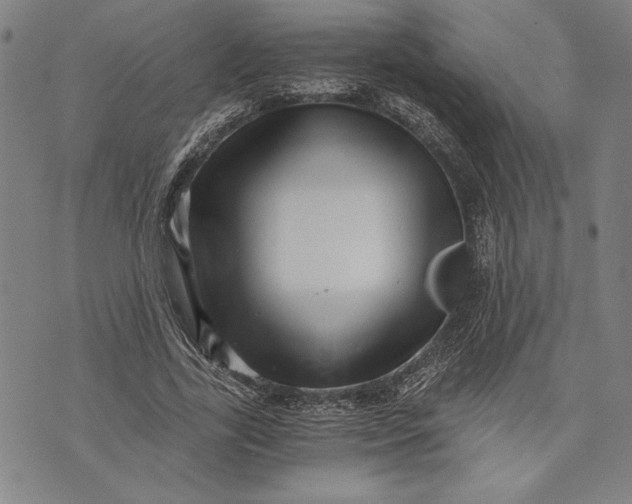 X0000073720731200608241231