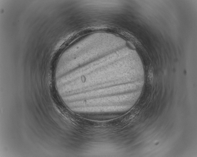 X0000073720732200608241231