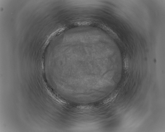 X0000073720733200608241231