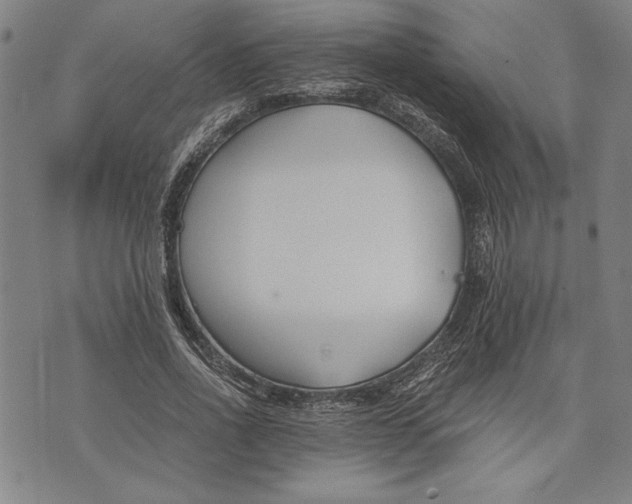 X0000073720734200608241231