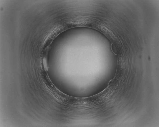 X0000073720735200608241231