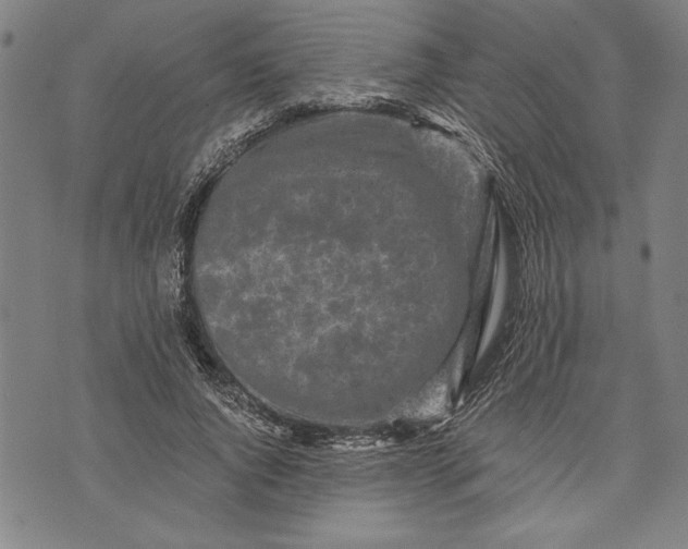 X0000073720736200608241231