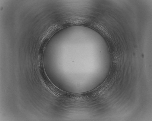 X0000073720738200608241231