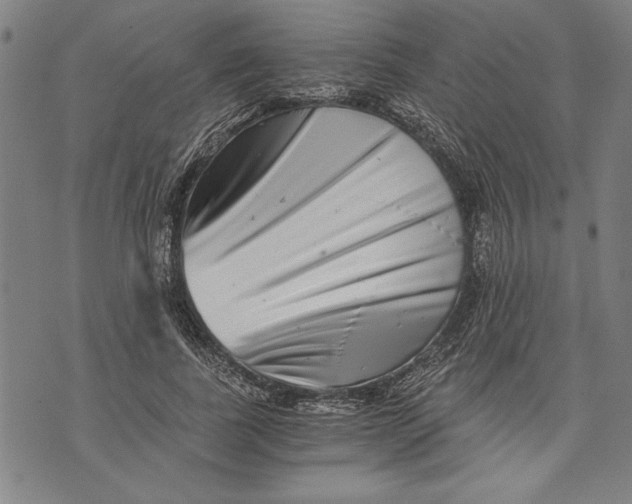 X0000073720739200608241231