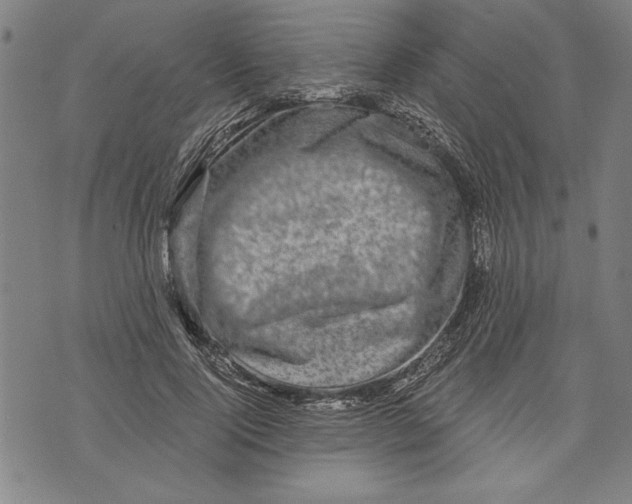 X0000073720740200608241231