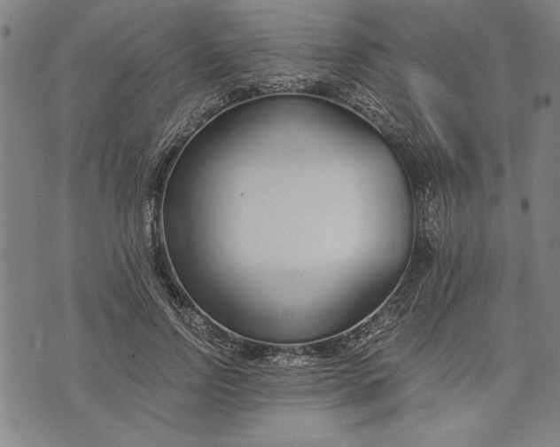 X0000073720742200608241231