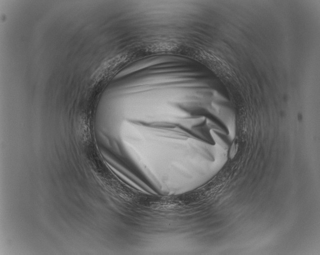 X0000073720743200608241231