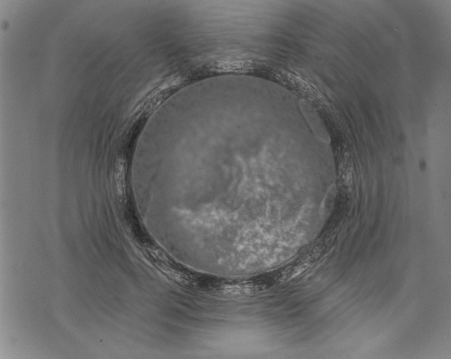 X0000073720744200608241231