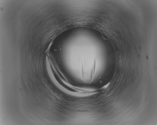 X0000073720746200608241231