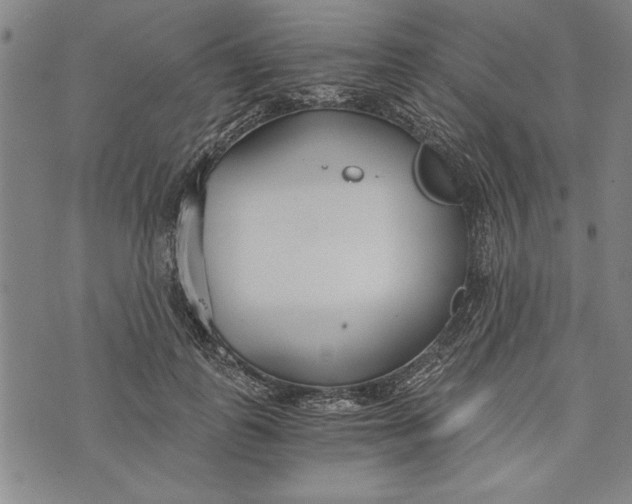 X0000073720747200608241231