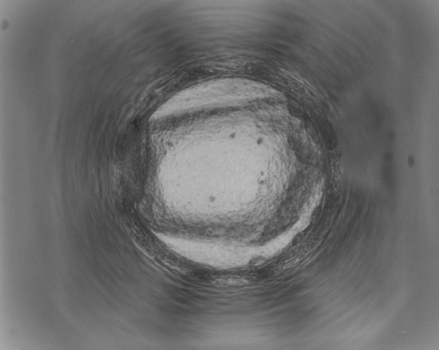 X0000073720749200608241231