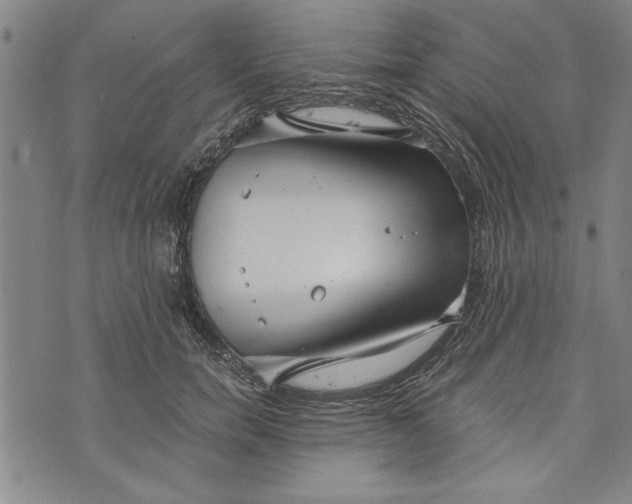 X0000073720750200608241231