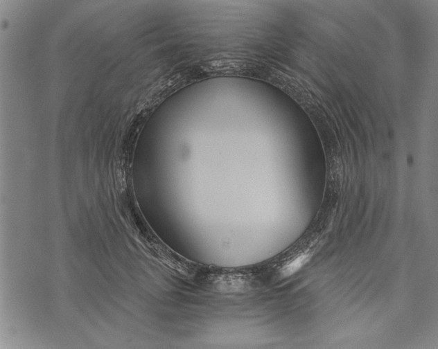 X0000073720751200608241231