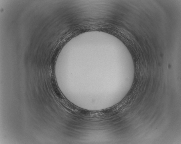 X0000073720752200608241231