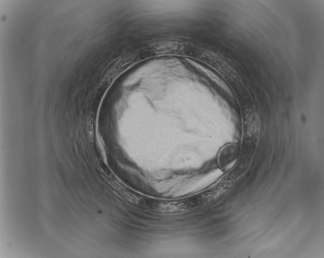 X0000073720753200608241231