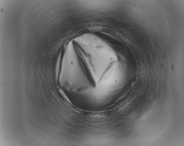 X0000073720755200608241231