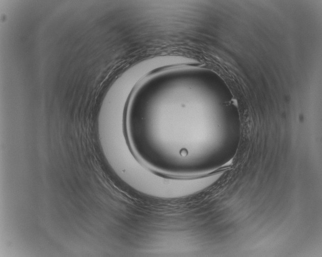 X0000073720756200608241232