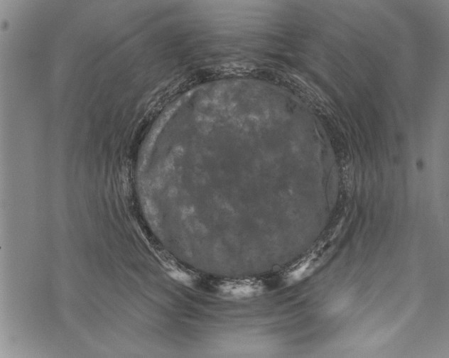 X0000073720757200608241232