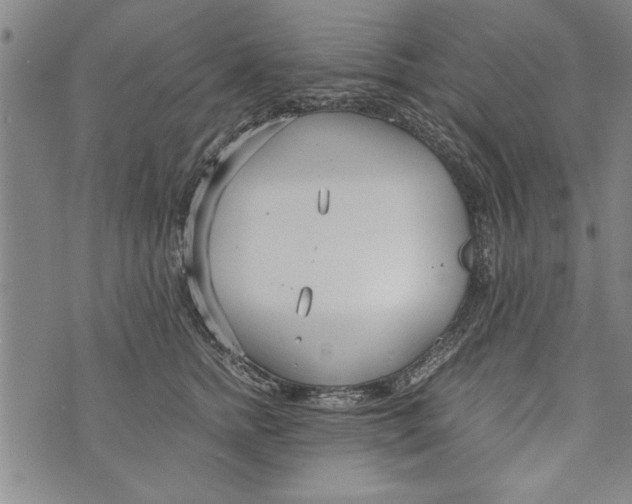 X0000073720758200608241232