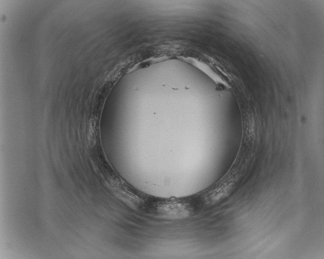 X0000073720759200608241232