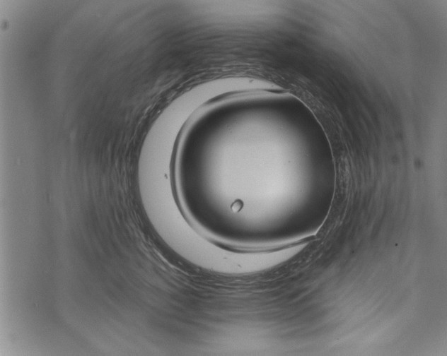 X0000073720760200608241232