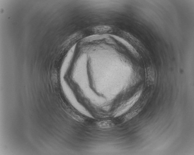 X0000073720761200608241232