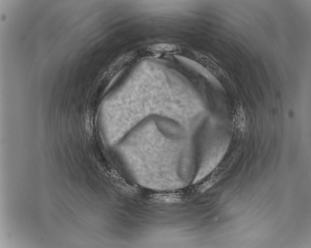 X0000073720763200608241232