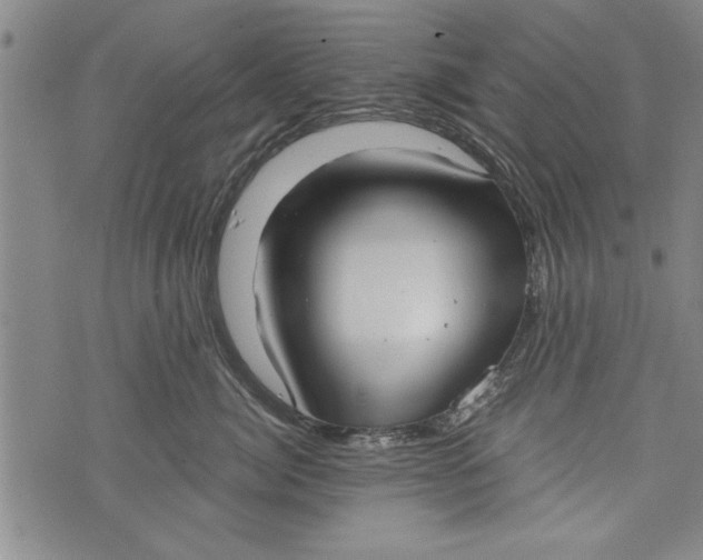 X0000073720764200608241232