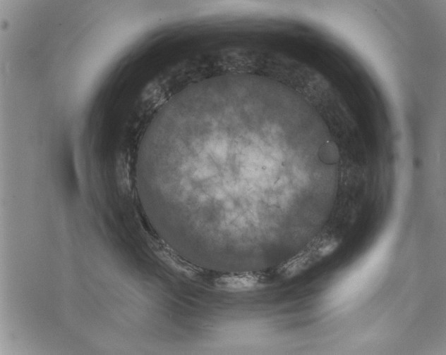 X0000073720765200608241232