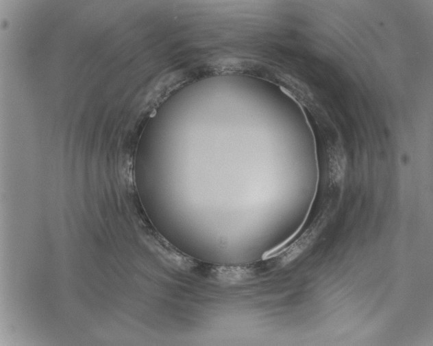 X0000073720766200608241232