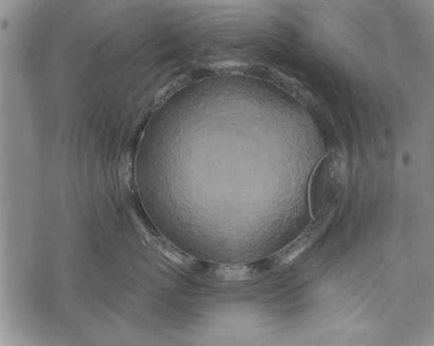 X0000073720767200608241232