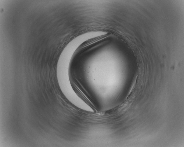 X0000073720768200608241232