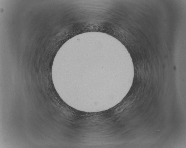 X0000073720769200608241231