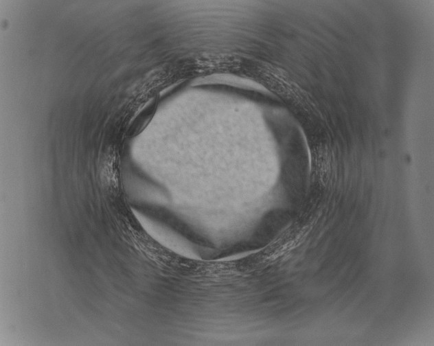 X0000073720770200608241231