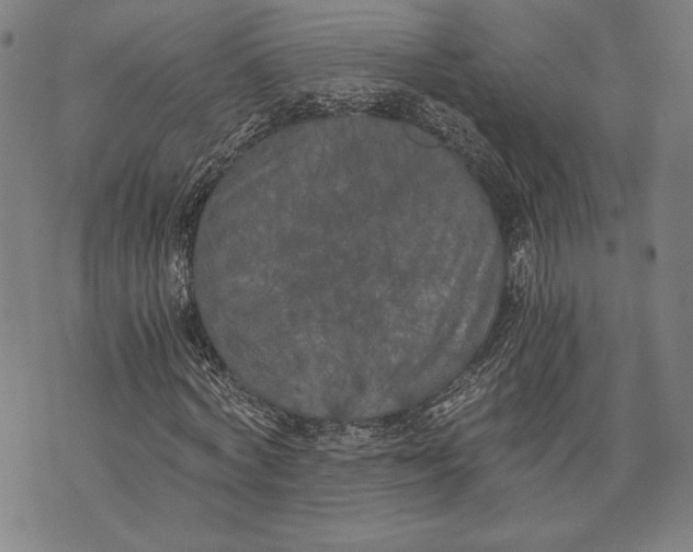 X0000073720772200608241231