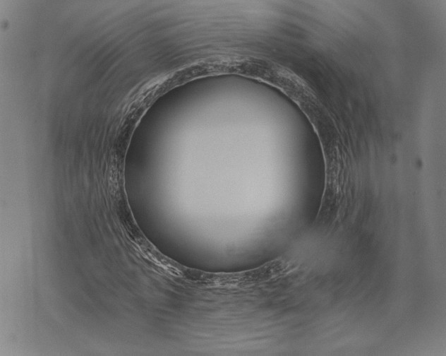 X0000073720773200608241231