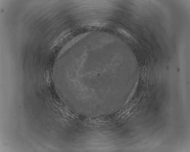 X0000073720774200608241231