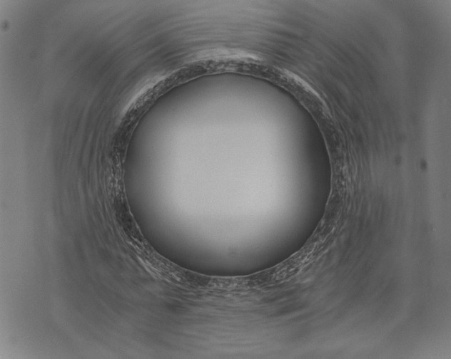 X0000073720775200608241231